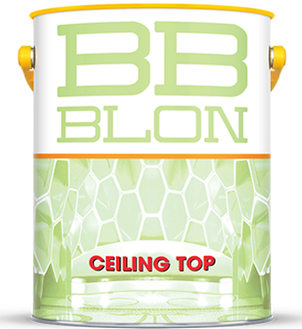 22-BB-BLON-CEILING-TOP