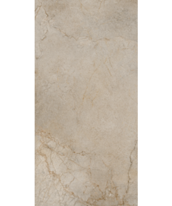 Gạch ốp lát SILVER ROOT