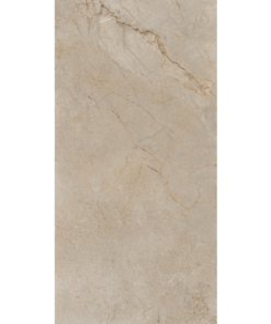 Gạch ốp lát SILVER ROOT
