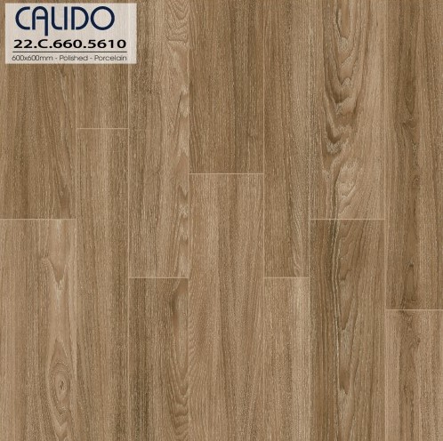 Gạch ốp lát Amygres 5610 với xương porcelain, kích thước 60x60, bề mặt men bóng rất phù hợp để ốp chân cầu thang
